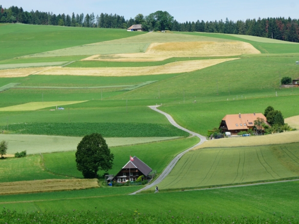 Chácara 100% Plana à Venda em Guareí – SP🏠