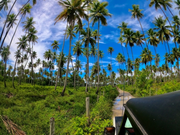 BA Guia Completo: Onde comprar Chácaras, Sítios e Fazendas à Venda no na Bahia