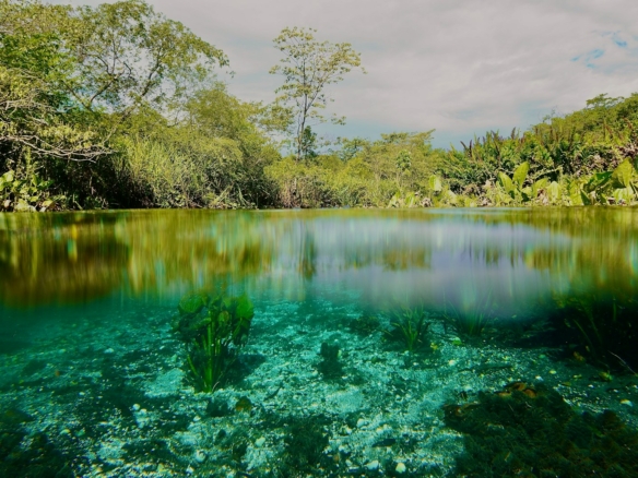 Guia Completo: Onde comprar Chácaras, Sítios e Fazendas à Venda em Mato Grosso do Sul MS