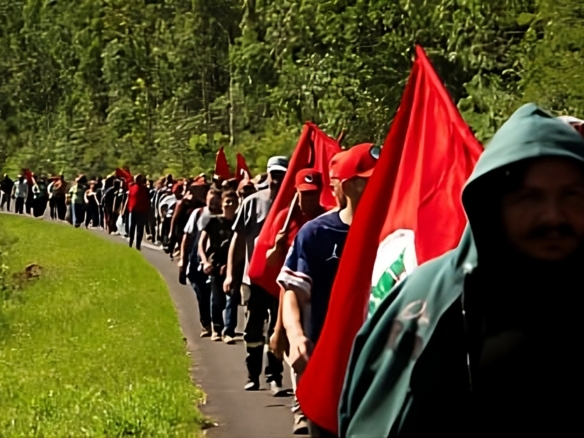 MST – A Verdade que o Campo Brasileiro Precisa Saber
